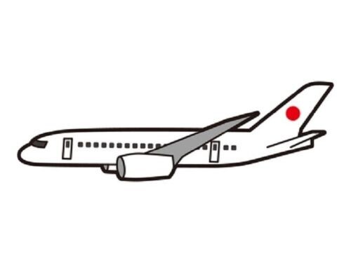 Additional Shipping Fee $10