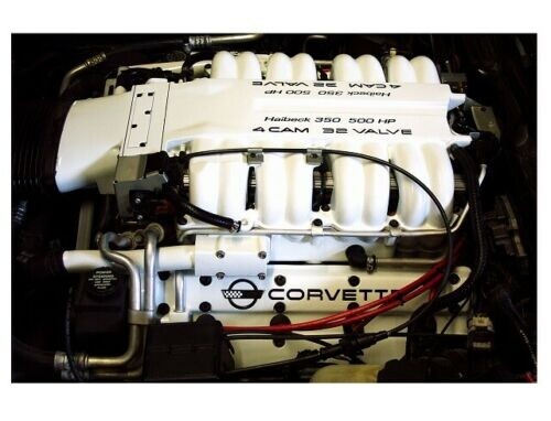 Universal White Coating Paint High Temp Engine Enamel Caliper Brake Rotor Spray