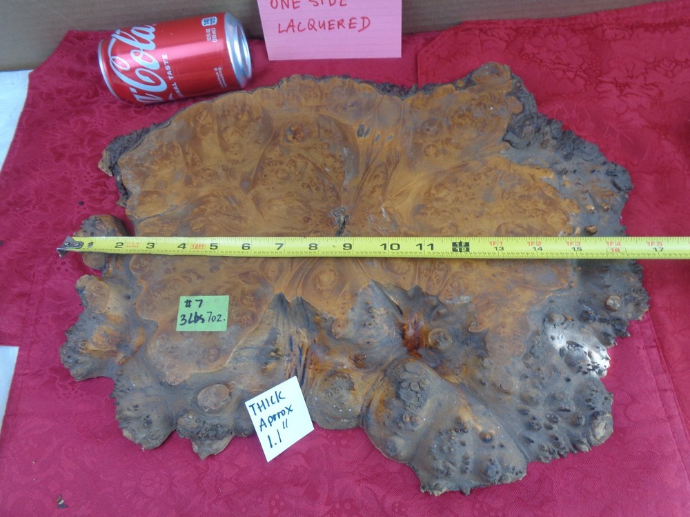 Burlwood Tree Slice #7