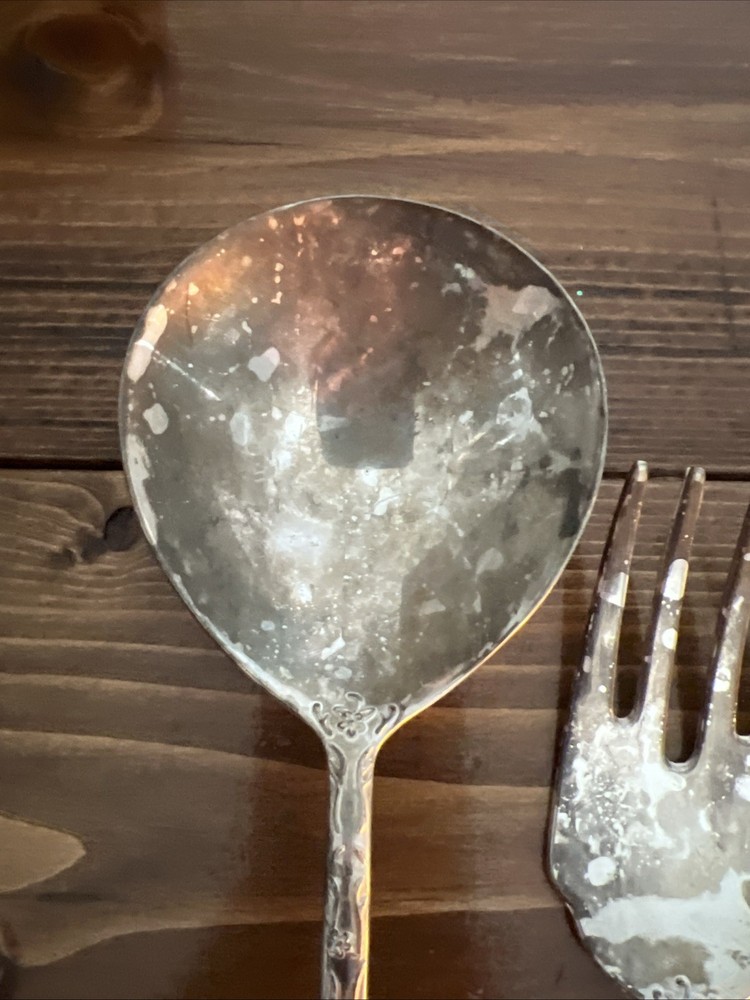 WM Rogers & Sons Silver Tone Enchanted Rose Replacement Serving Spoon & Fork