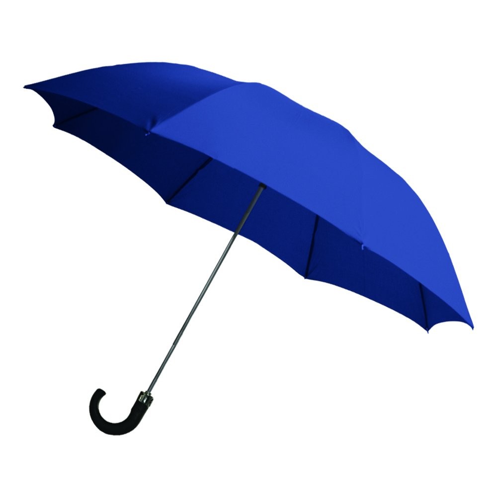 Auto Open 2Fold Umbrella with Sleeve and Hook Handle, 42"  Blue