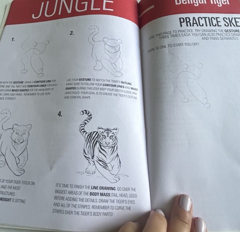 I Draw Jungle Animals Coloring Book