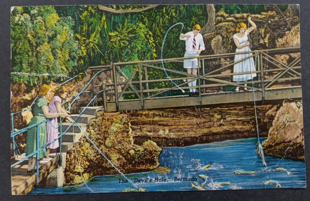 1958 Bermuda Postcard-The Devils Hole ties 6d Stamp cd Hamilton