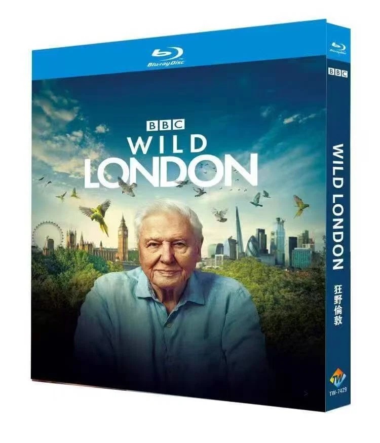 Wild London (2026) 1-D 全新未拆封套装-