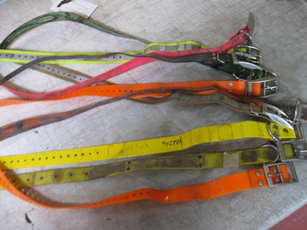 10 Dog collar straps Pulled from tracking collars 1" width (10 pcs.) -Used