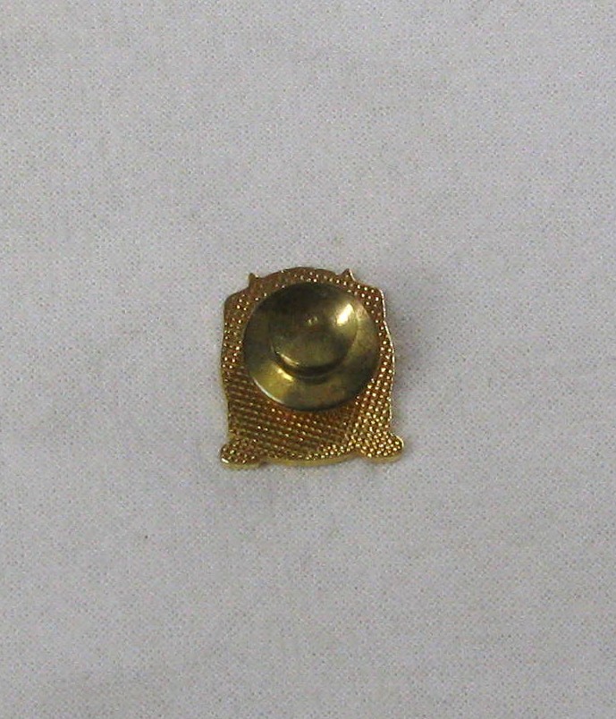 Lapel Pin - LAW ENFORCEMENT ACCREDITATION⭐