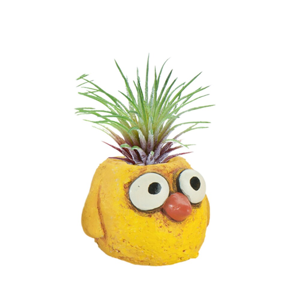 Blobhouse Chickie Planter
