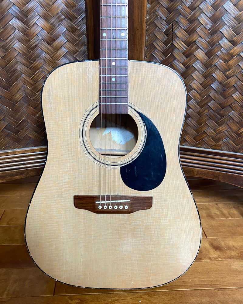 VINTAGE PALMER Acoustic