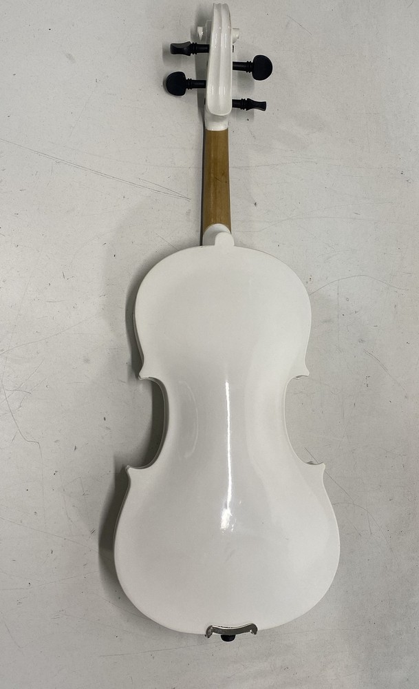 White Violin With Bow and Case