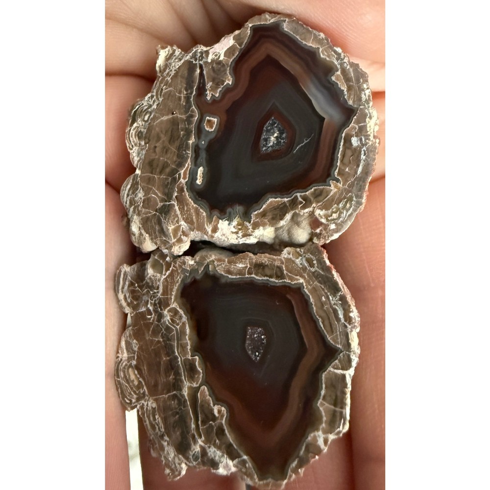 Baker Ranch Thunder Egg Agate Geode Kid Pair Polished New Mexico Fluorescent