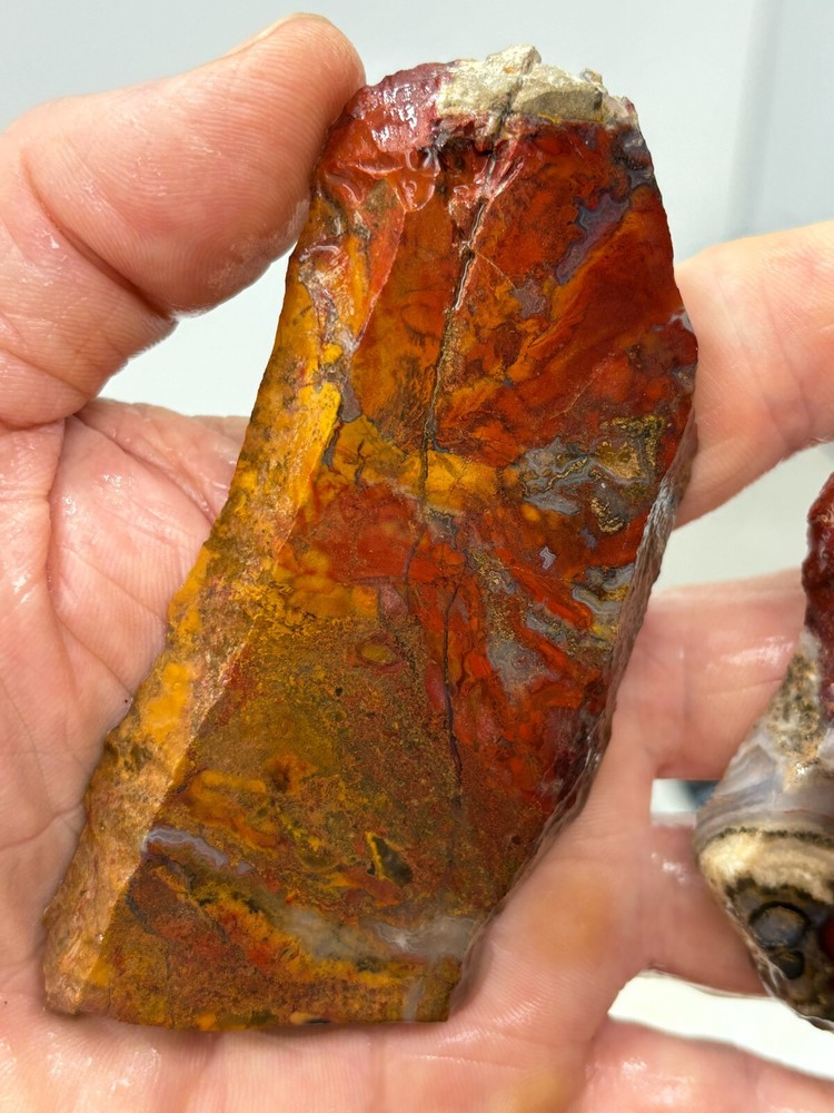 Mexican Cathedral Agate Slabs Cabbing Lapidary Combo Ship Avail