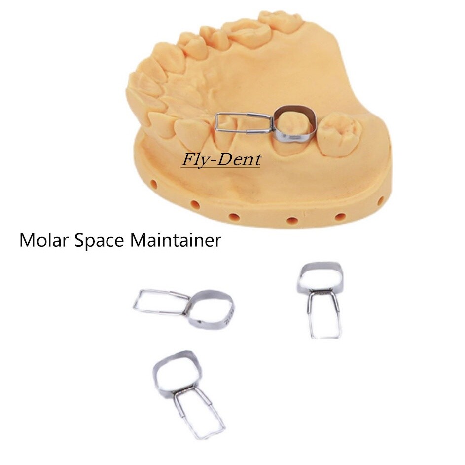 4Pcs Dental Orthodontic Preformed Loop Molar Band 2nd Space Retainer Maintainer
