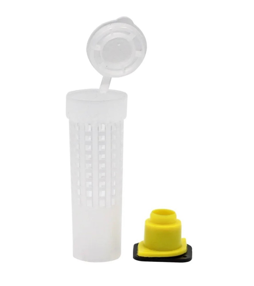 Beehive queen Rearing kit