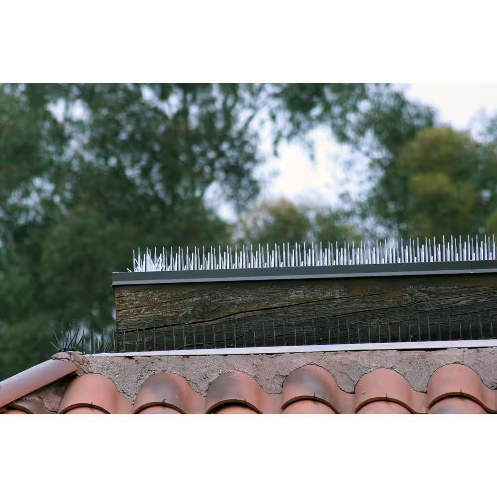 Clear Plastic Bird Spike - 50 Ft. X 7 In.