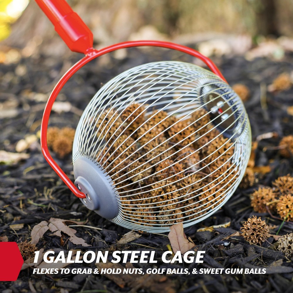 Medium Nut Gatherer Roller – Nut Collector Tool for Pecans, Hickory Nuts, Gol...