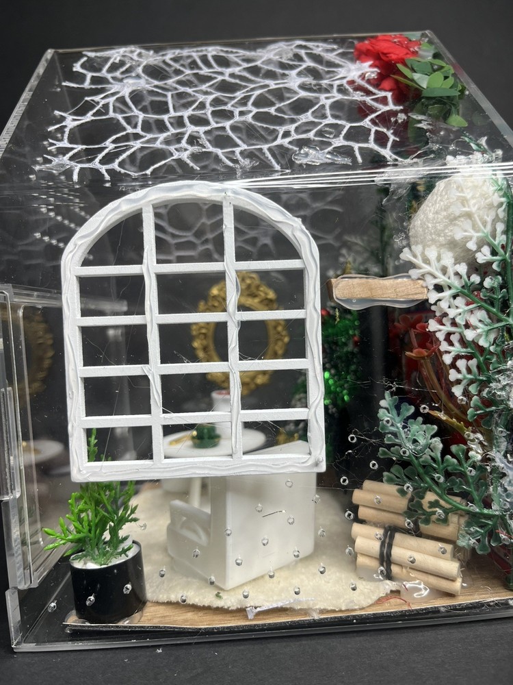 Christmas house jumping spider enclosure