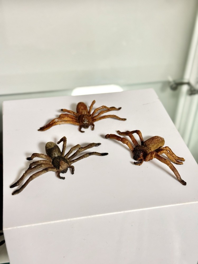 ARACHNOPHOBIA (1990) Production Used Spiders