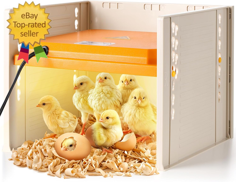 Chick Brooder, Chicken Brooder Heating Plate for Chicks with Adjustable Height a