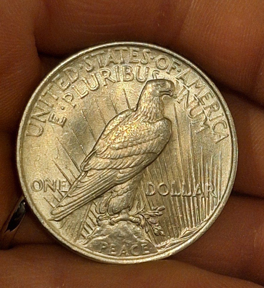1923 Peace Dollar, Sharp