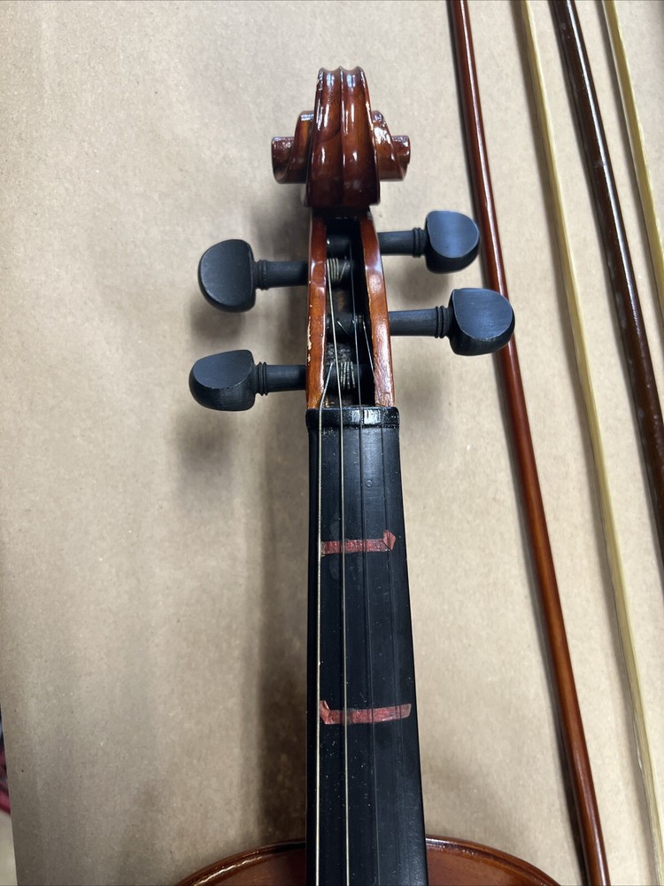 Parrot | Art No. 19 | Violin With Case