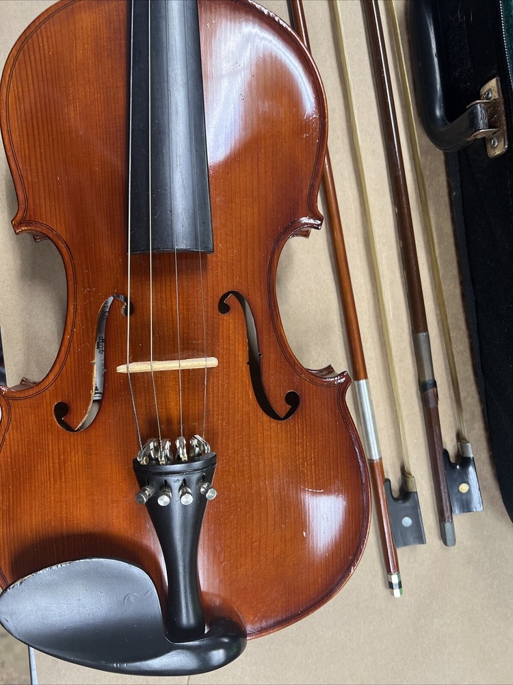 Parrot | Art No. 19 | Violin With Case