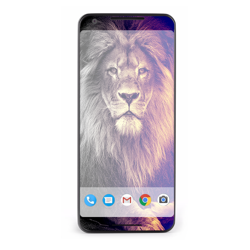 Google Pixel 2 Skins Decal Wrap Proud Lion