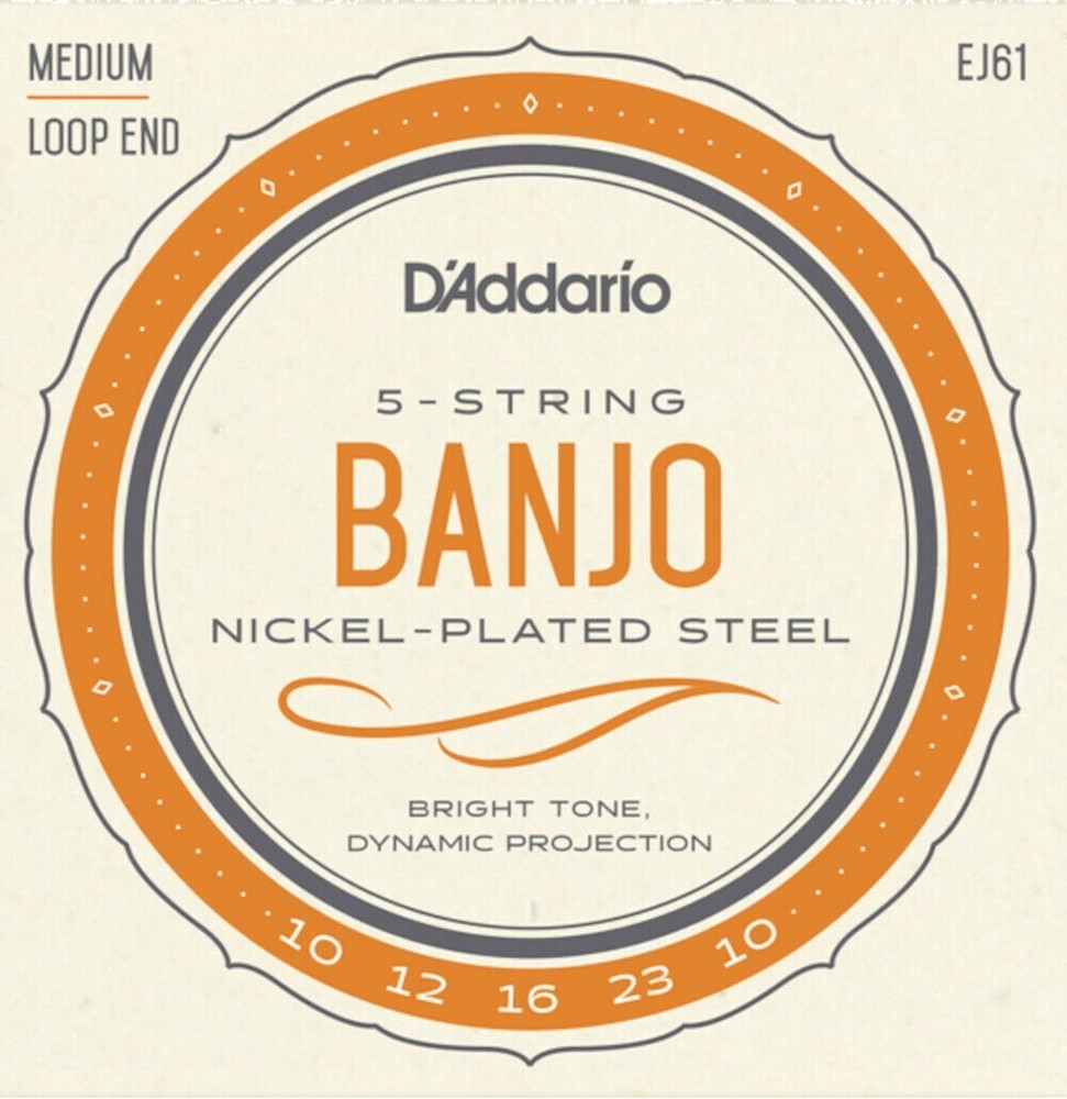 D'Addario Banjo Strings Nickel Steel Loop End Medium EJ61