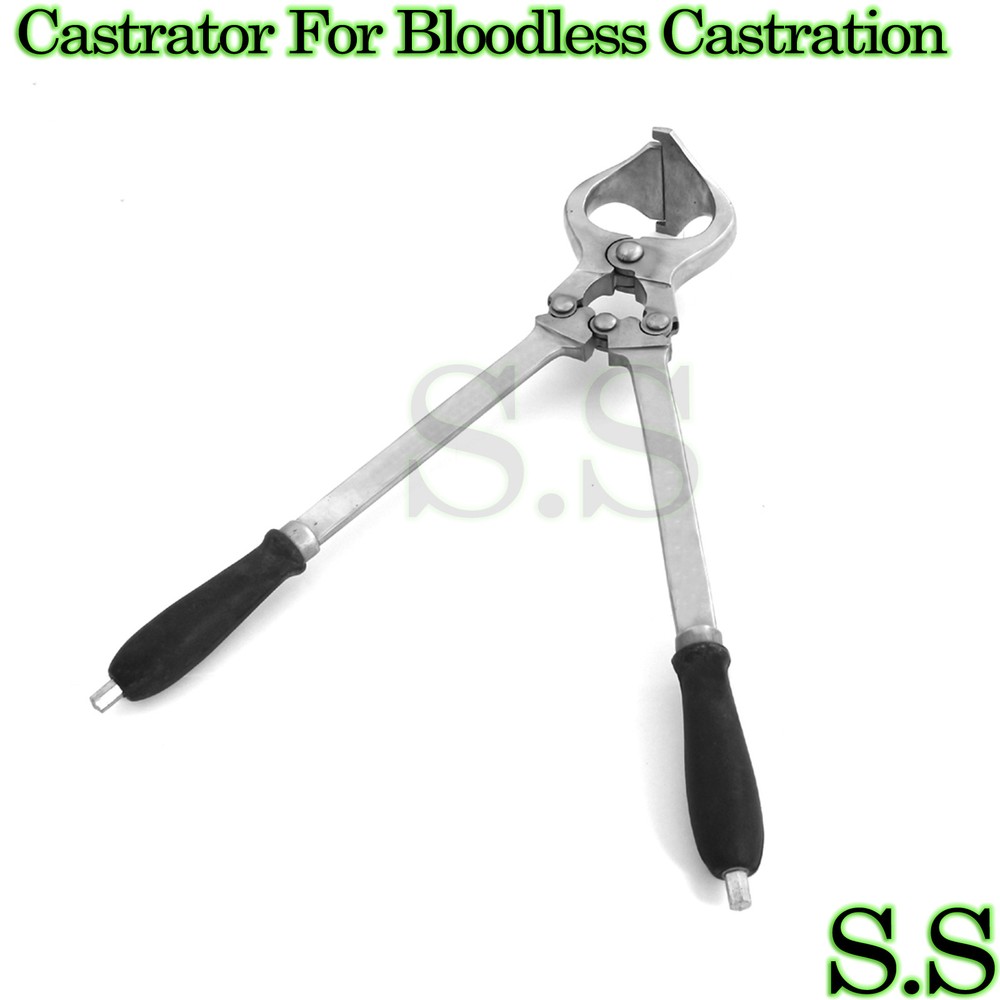 Castrator for Bloodless castration ( Emasculator ) 18"