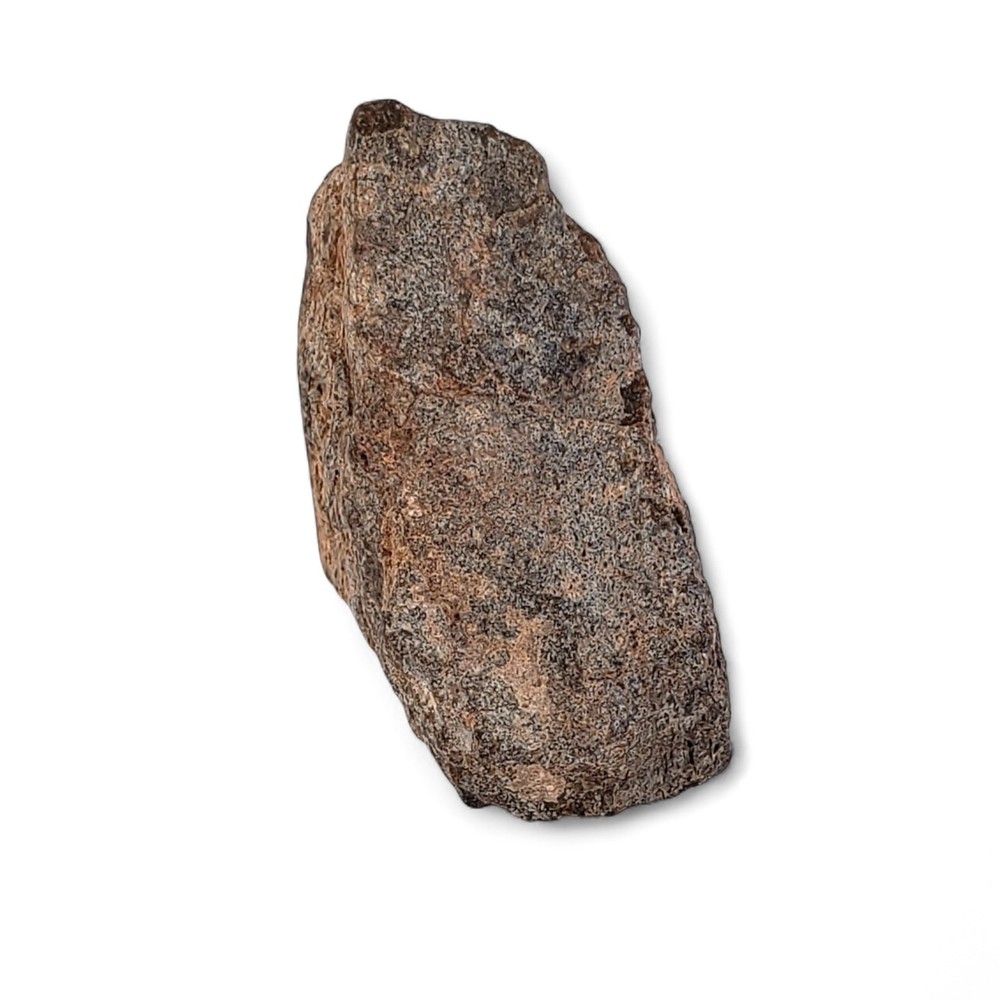 Jurassic Dinosaur Fossil Bone from Morrison Formation Includes Display