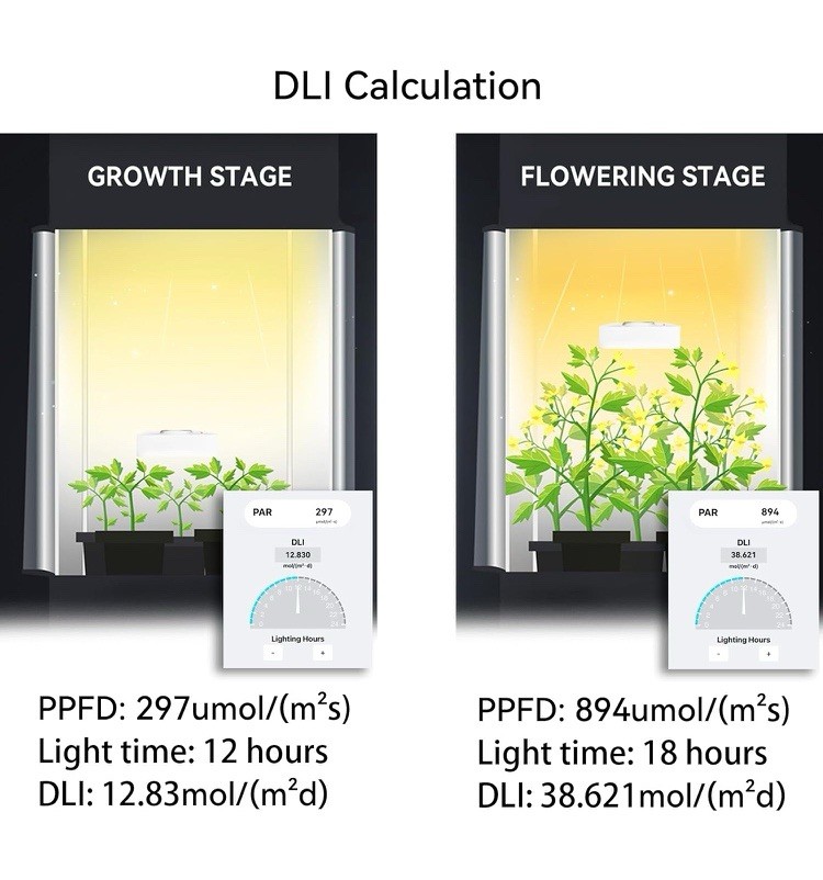 Quantum PAR Meter,6000umol/(㎡s),DLI Calculator,PPFD Distribution Record