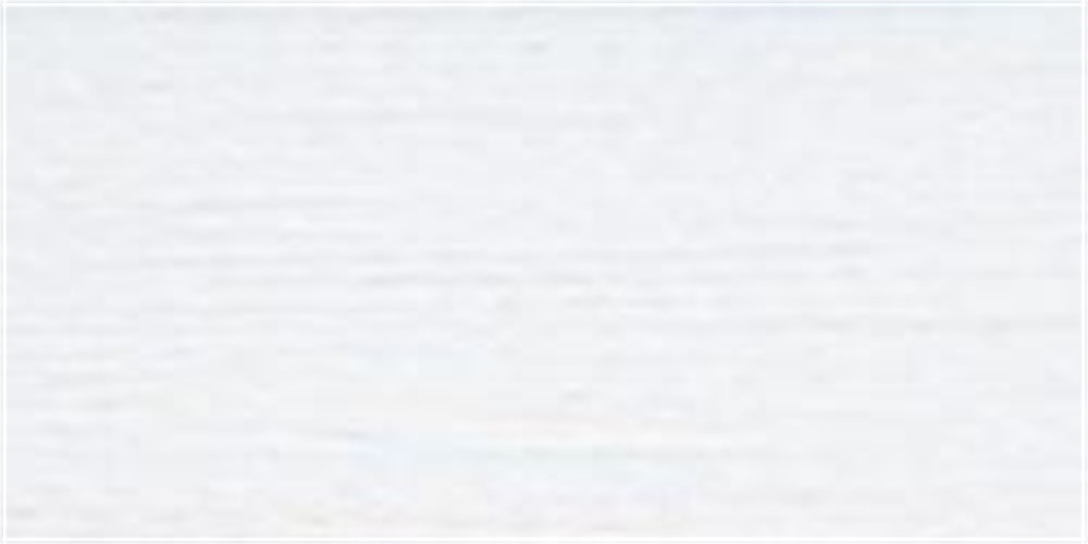 Robison-Anton Rayon Super Strength Thread Solid Colors 1,100yd-Snow White