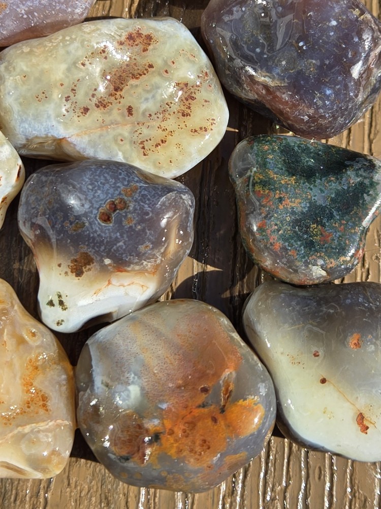 Botswana Agate Selects - GREATEST - Rough, Natural, Not Polished A+ Grade