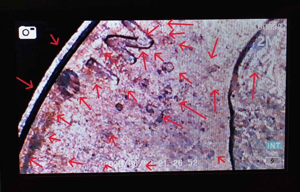 2001 Penny Multi Strike Error Double Die, Die Cracks, Initials Obscured