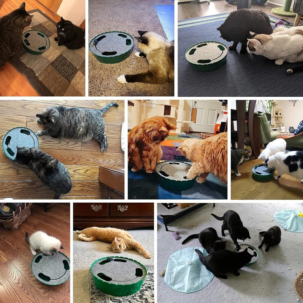 Stimulating Automatic Cat Teaser