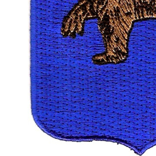 62nd Infantry Regiment Patch