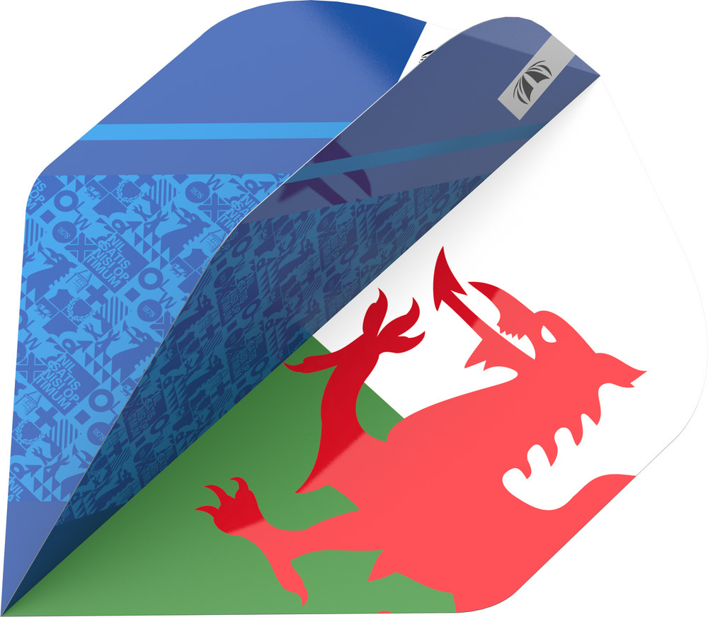 Target Lewy Williams Pro Ultra No2 (Standard) Flight