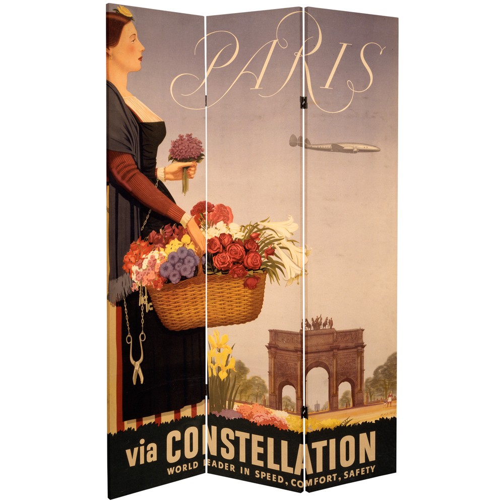 6 ft. Tall Double Sided Absinthe Canvas Room Divider