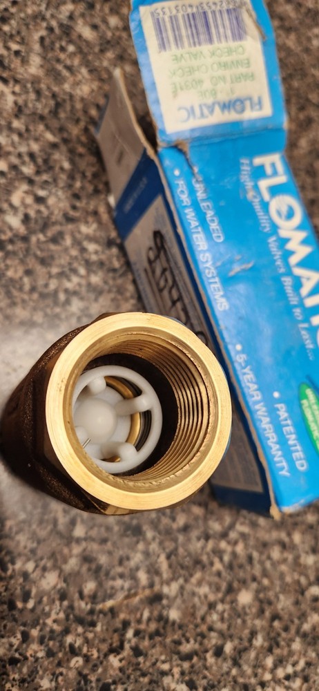 Flomatic 1" - 80E Enviro Check Valve 4031E