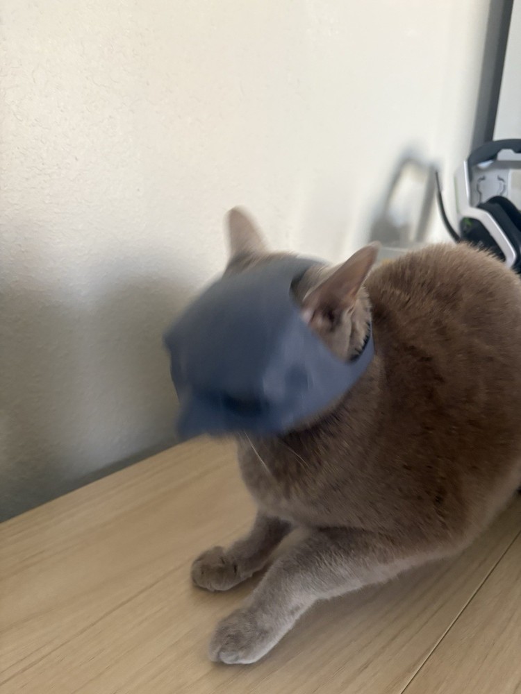 Batman Mask for Cats- Black