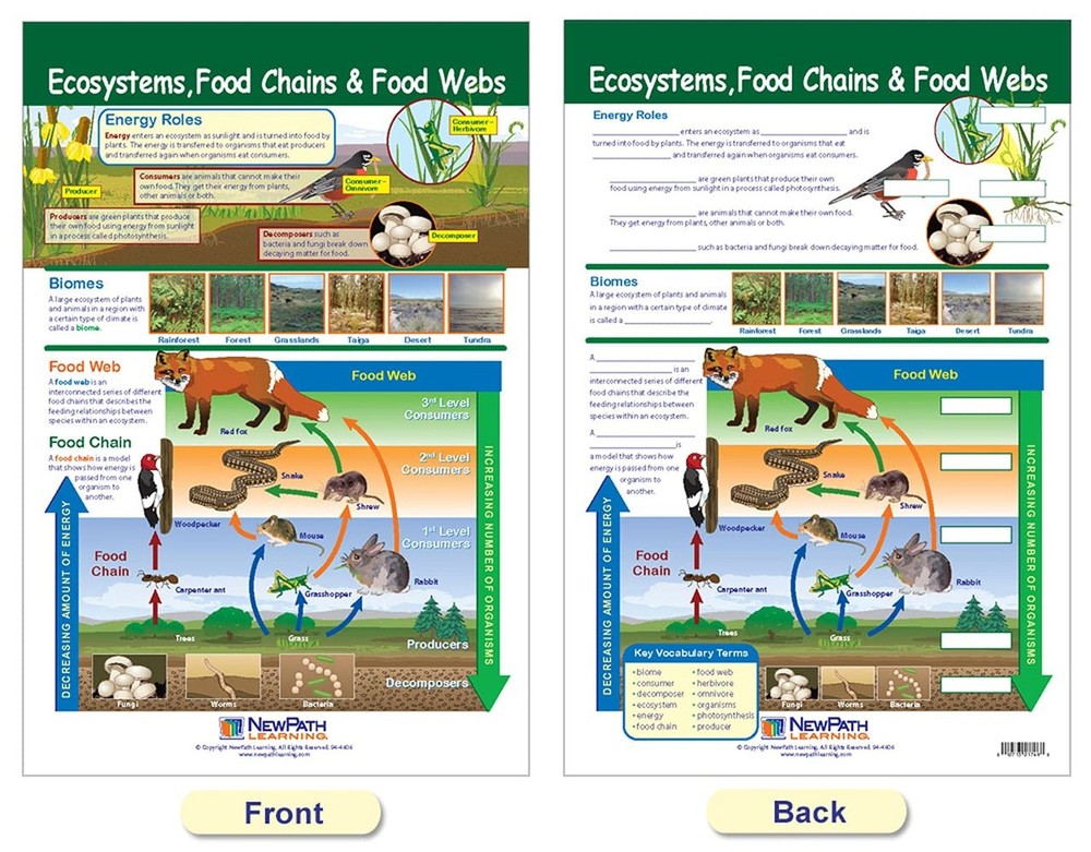 NewPath Learning Ecology Bulletin Board Charts, Set/3 - Laminated, Double-Sid...