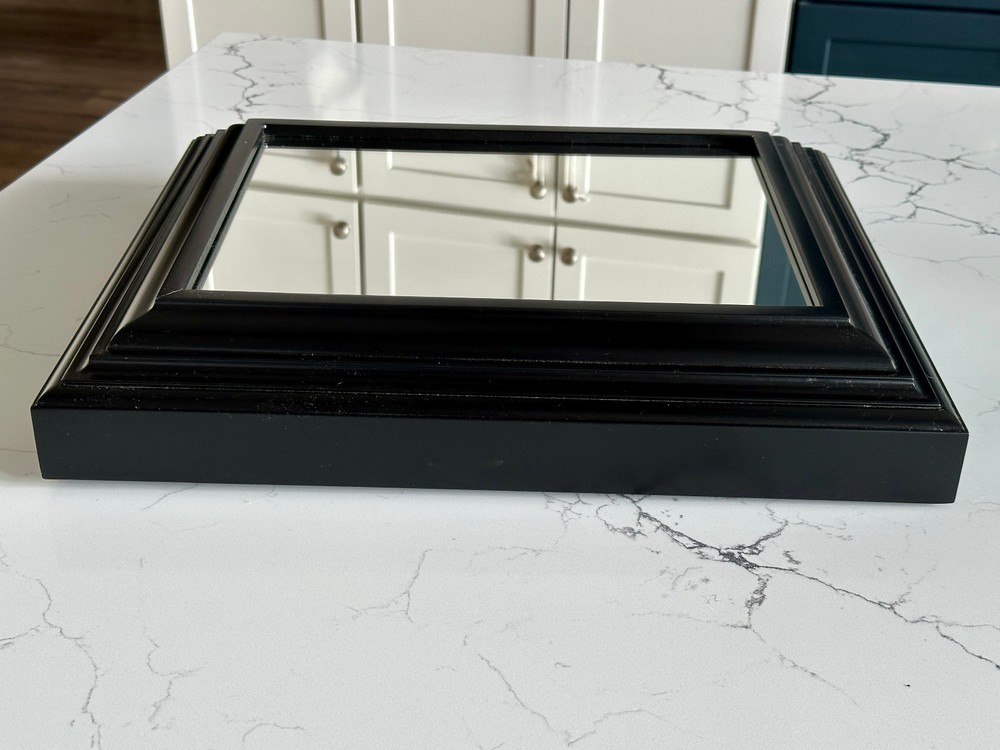 The Guardian Tactical Frame