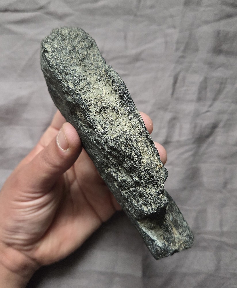 Rare Huge Plesiosaurus Humerus Paddle Reptile Bone Dinosaur Age