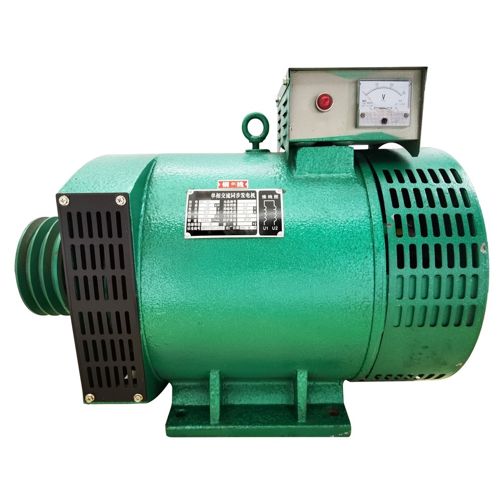 220V 1-Phase Driven Generator Brushed Generator Pure Copper Engine