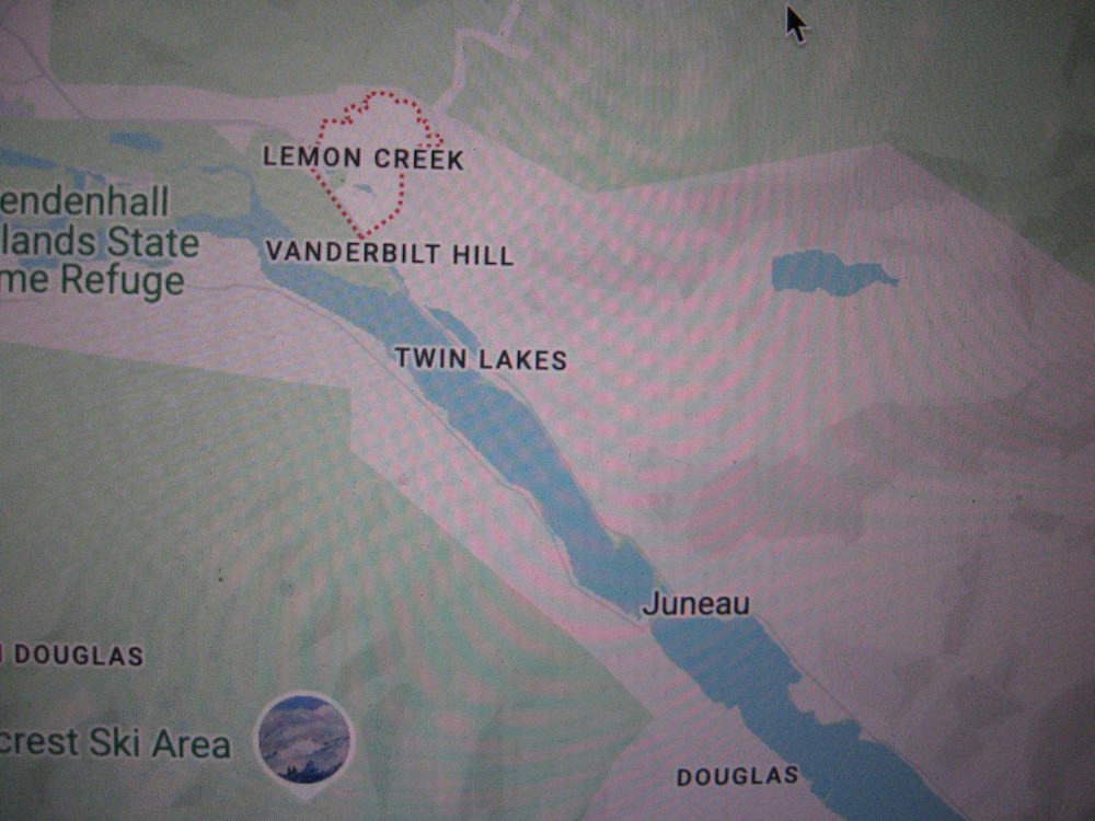 ALASKA GOLD LEMON CREEK .290 GRAM