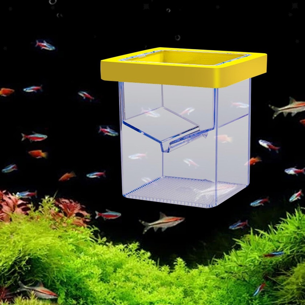 Breeder Box Incubator  Tank Hatchery