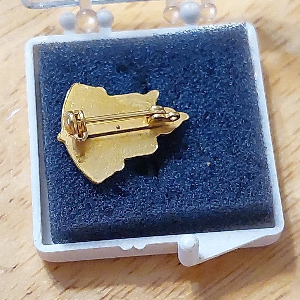 Yearbook Lapel Pin Quill and Script Tie Pin