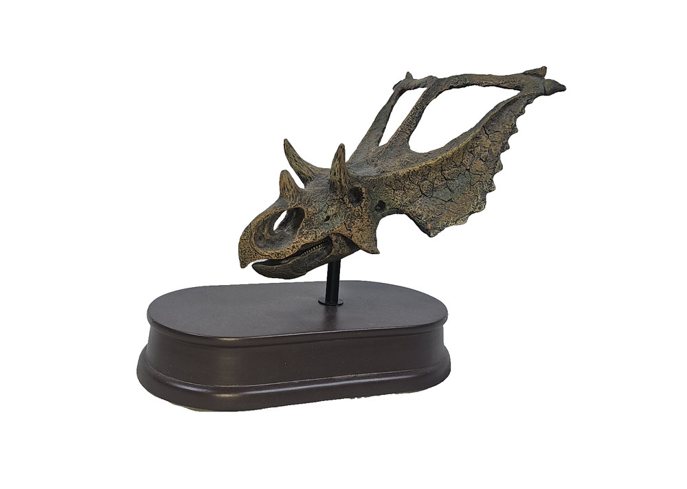 CHASMOSAURUS Dinosaur Skull & Jaws Model 1/10 Scale - US SELLER