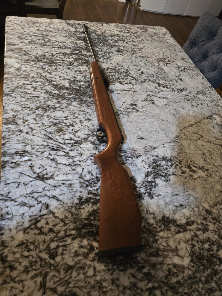 Ruger Air Hawk .177 Air Rifle