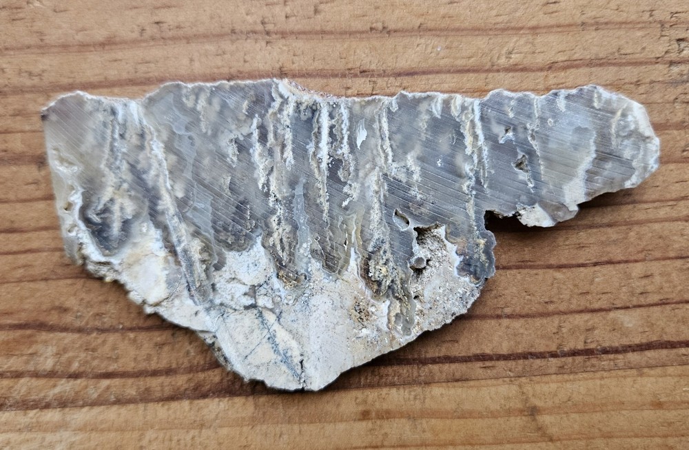 Graveyard Point Plume Agate Slab Oregon 39 grams