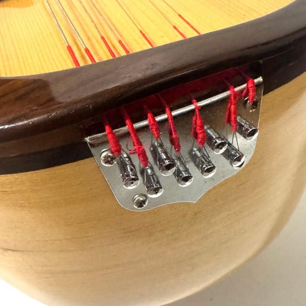 Good condition MONOPIA Mandolin with hard case included